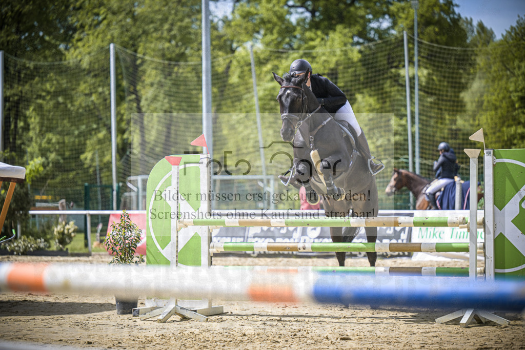 DOS_7739 | Entdecke hochwertige Reitturnierfotos von Foto Oger. Professionell, emotional und authentisch – jetzt Lieblingsmomente im Shop bestellen.Deutschlandweite Turnierfotografie. - Realisiert mit Pictrs.com