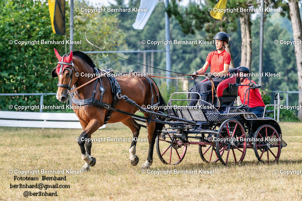 2A901888 | foto-team-bernhard - Realisiert mit Pictrs.com