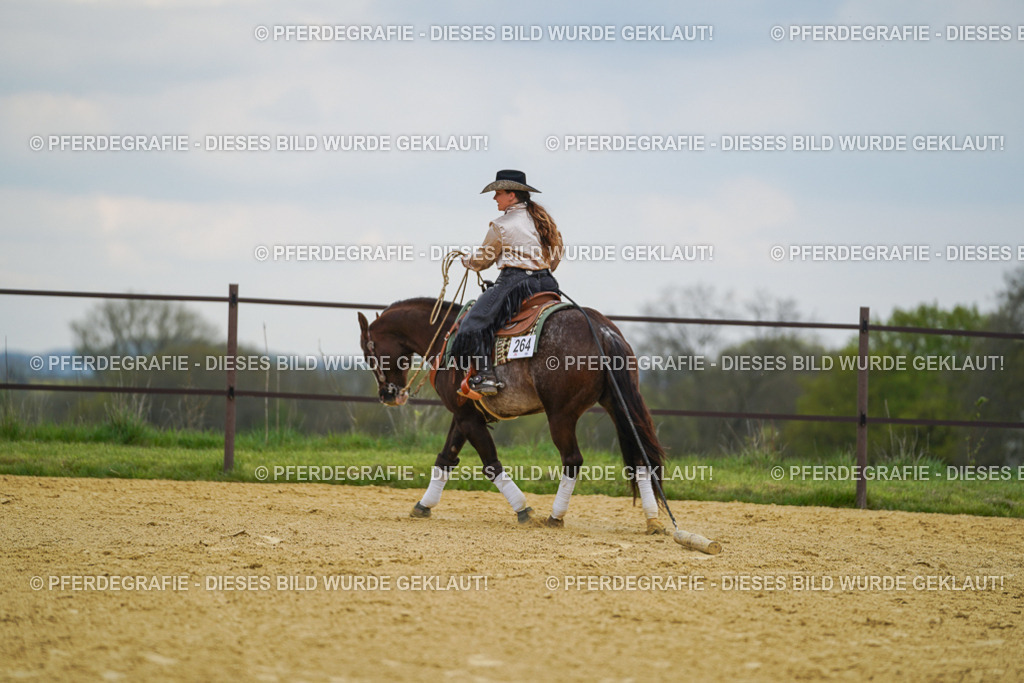 DSC07400 | Pferdegrafie