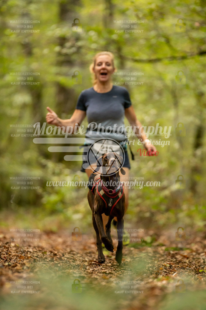 TSB_2023_E1_Canicross-2 | PayLife