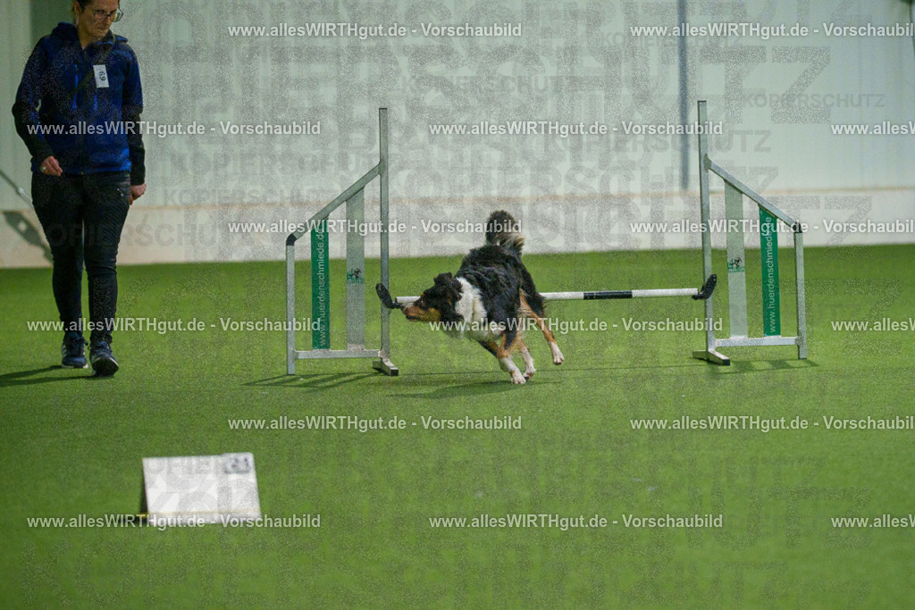 7R508195 | Professionelle Tierfotografie in Mönchengladbach von Daniel Wirth (allesWIRTHgut). Liebevolle & natürliche Bilder von Hunden & Katzen für unvergessliche Erinnerungen.