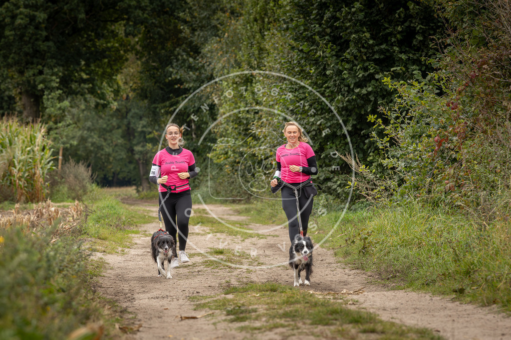 Pfotenfotografie_DV3A8441 | Hundefotografie, Tierfotograf, Pfotenfotografie, Fotoshooting Hund, Hunde Portrait, Hundesport, Hundeportraits, Heideshooting, Hunde, Sportfotograf, Hundefotograf, Turnierhundsport, THS,  - Realisiert mit Pictrs.com