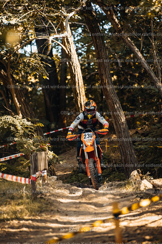 E68A5535 | blick_win_kel