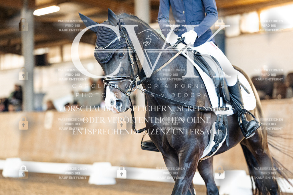 CK908176 | Turnierfotografie Pferdefotografie Trier Rheinland-Pfalz Pferdesport Reitsport Tierfotografie Sportfotografie Pferdevideo Pferdevideografie Equestrianvideography equestrianphotography  - Realisiert mit Pictrs.com