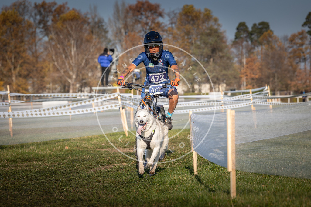CaniXpix_0L8A4601 | Hundefotografie, Tierfotograf, Pfotenfotografie, Fotoshooting Hund, Hunde Portrait, Hundesport, Hundeportraits, Heideshooting, Hunde, Sportfotograf, Hundefotograf, Turnierhundsport, THS,  - Realisiert mit Pictrs.com