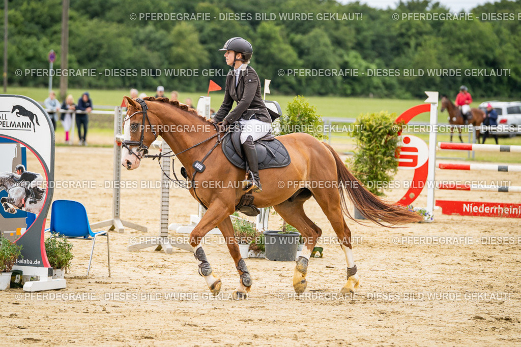 DSC06286 | Pferdegrafie