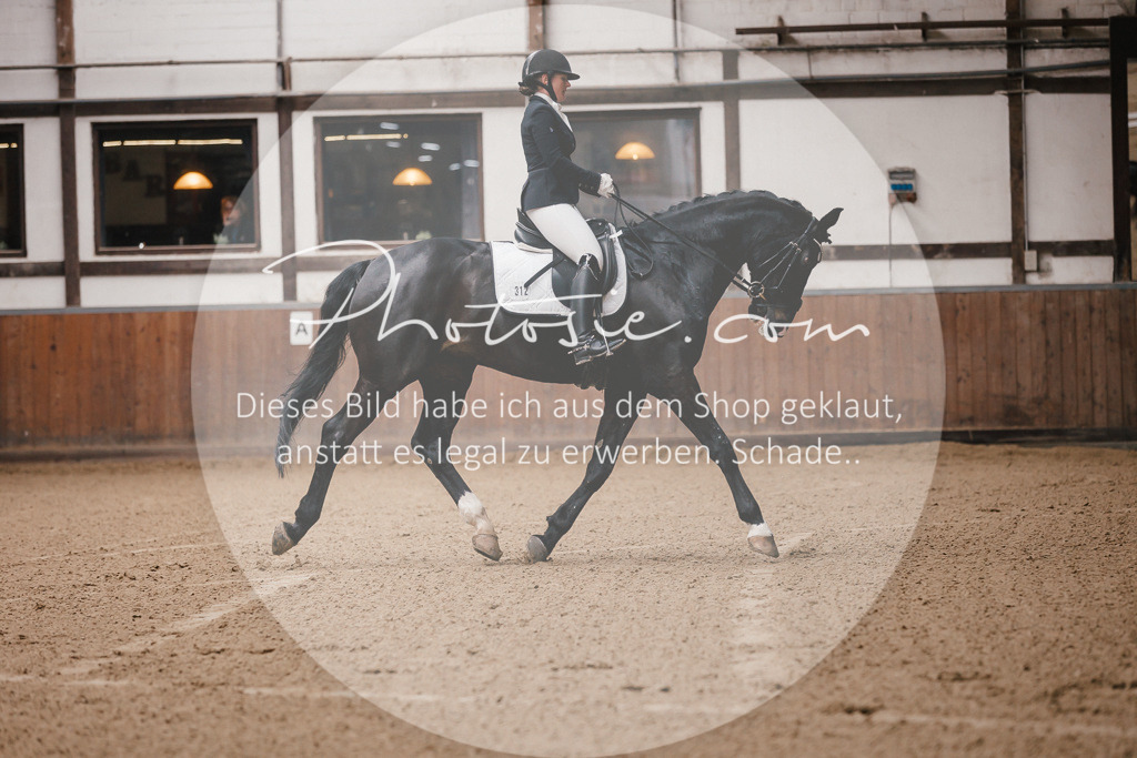 3I6A7069 | Stimmungsvolle Portraits und Reitsportfotografie im Ruhrgebiet und im Münsterland.

Pferdefotografie, Hundefotografie, Tierfotografie, Reportagen, Portraits von Tier und Mensch, Turnierfotografie in Bochum, Recklinghausen, Marl, Haltern am See, Dülmen.. - Realisiert mit Pictrs.com