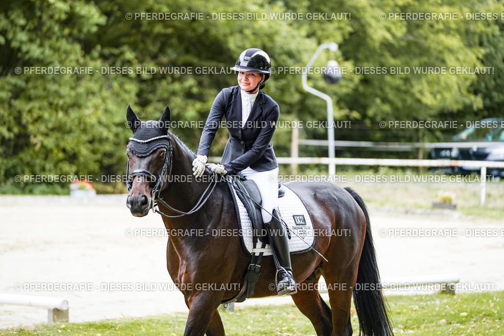 DSC09218 | Pferdegrafie