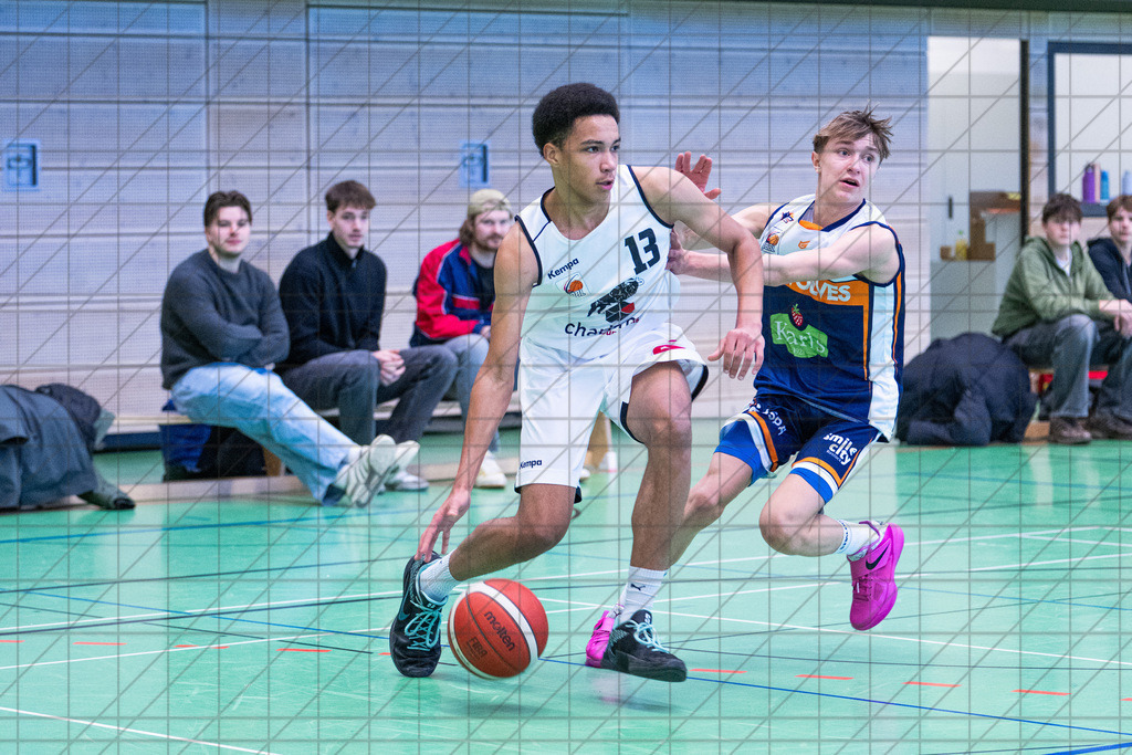 JBBL 24/25 | 19.01.2025 | Charisma Young Bulls vs. Rostock Seawolves | JBBL 24/25 | 19.01.2025 | Charisma Young Bulls vs. Rostock Seawolves - - - - - CREDIT, www.bullenfotos.de, Martin König, Hörner Weg 40, D-49078 Osnabrück, +4917663732967, Nutzung und Weitergabe nur zu den vereinbarten Zwecken. Presseanfragen an Urheber. Alle Rechte beim Urheber. - - - - - - Realisiert mit Pictrs.com
