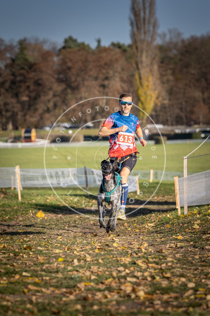 CaniXpix_DV3A9786 | Hundefotografie, Tierfotograf, Pfotenfotografie, Fotoshooting Hund, Hunde Portrait, Hundesport, Hundeportraits, Heideshooting, Hunde, Sportfotograf, Hundefotograf, Turnierhundsport, THS,  - Realisiert mit Pictrs.com