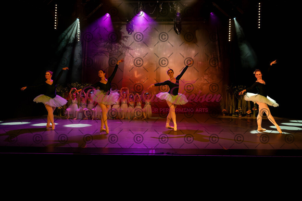Ballettaufführung-597 | Bildershop Lem'n Entertainment - Realisiert mit Pictrs.com