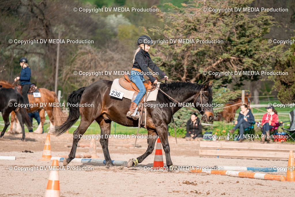 BAL02904 | dv-media-shop - Realisiert mit Pictrs.com