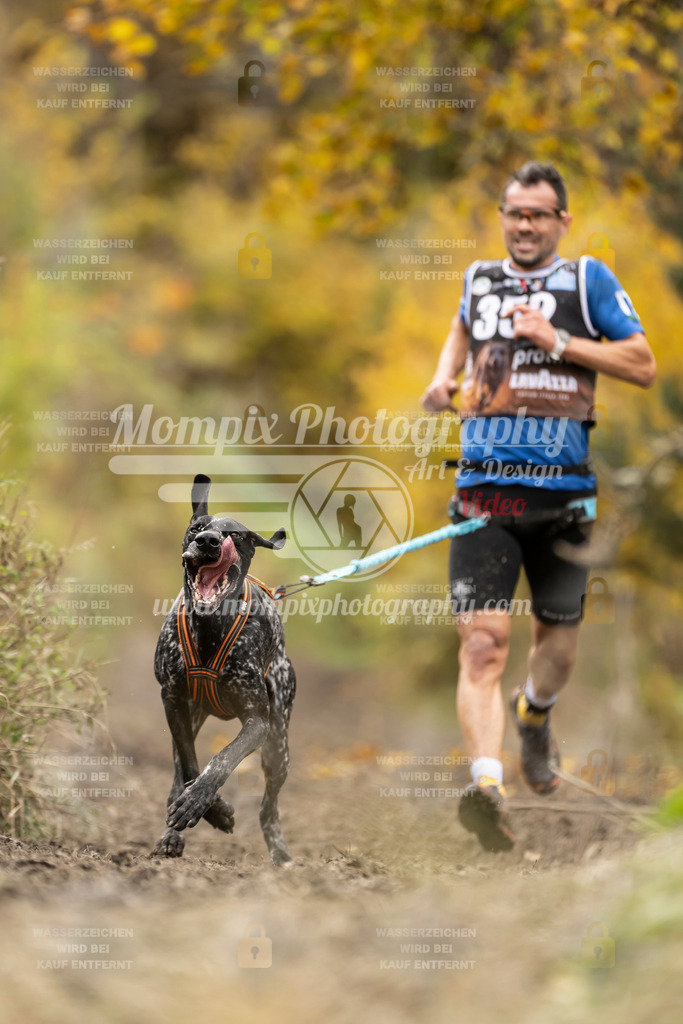 MompixPhotography_ICF_WC_2024_SA_Run_-272 | PayLife