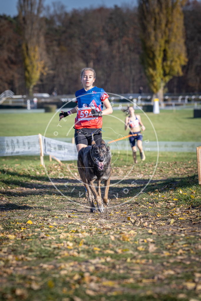 CaniXpix_DV3A9331 | Hundefotografie, Tierfotograf, Pfotenfotografie, Fotoshooting Hund, Hunde Portrait, Hundesport, Hundeportraits, Heideshooting, Hunde, Sportfotograf, Hundefotograf, Turnierhundsport, THS,  - Realisiert mit Pictrs.com