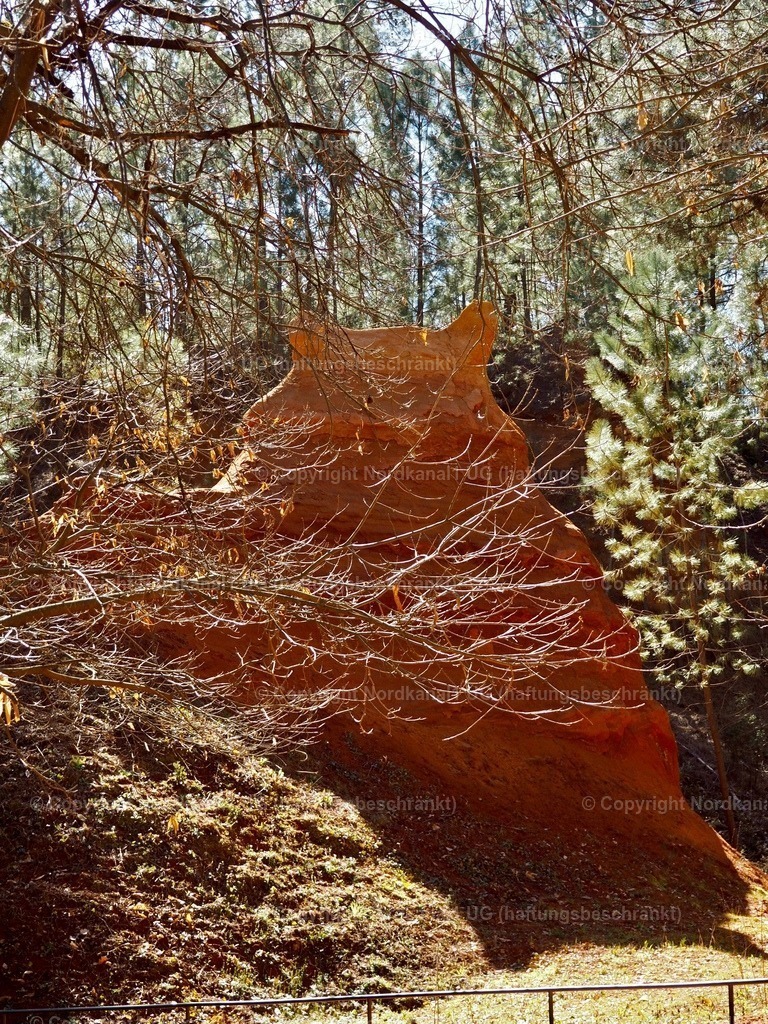 IMG_2908 | OLYMPUS DIGITAL CAMERA          - Realisiert mit Pictrs.com