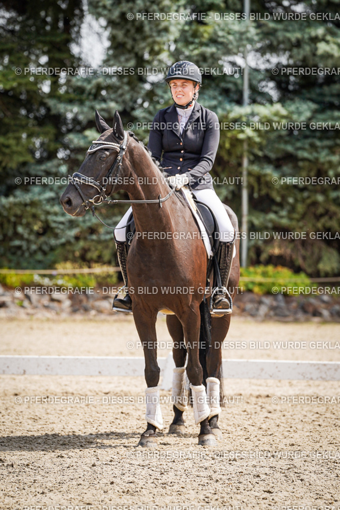 DSC09628 | Pferdegrafie