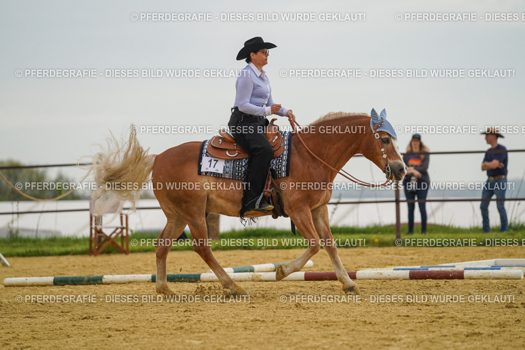 DSC02460 | Pferdegrafie