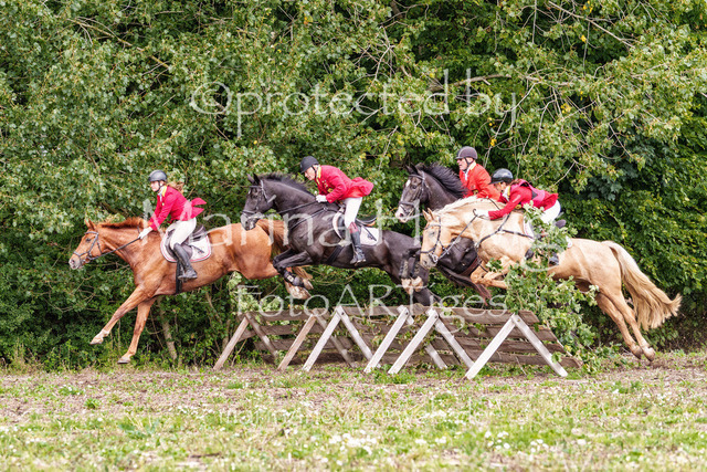 Jagd Perdoel 26-03673_MarinaHewig | Fotografie, FotoArt, PferdesportArt, Pferdesportfotografie, Landschaftsfotografie, Reisefotografie, Reise, Pferde - Realisiert mit Pictrs.com