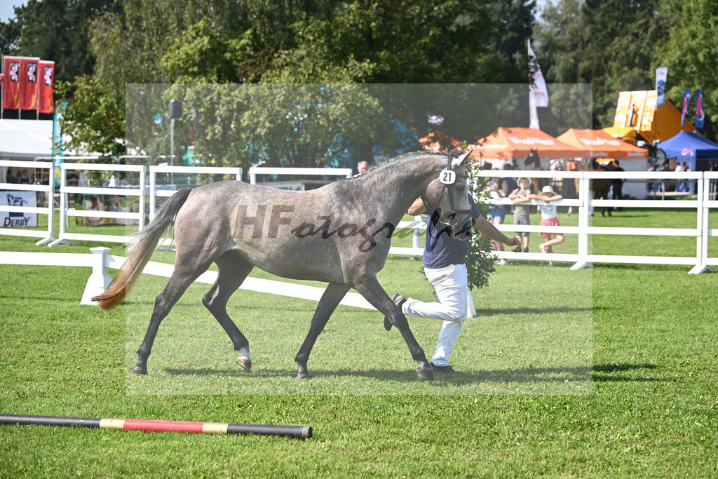 Kat-Nr. 21 nn v. Vingino_Hoffmeister_34240493 | hf-fotografie - Realisiert mit Pictrs.com