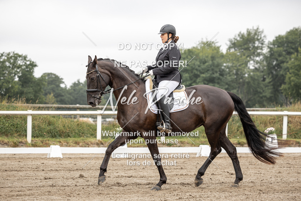 nelerasche_DrL_Ede_165 | nelerasche
