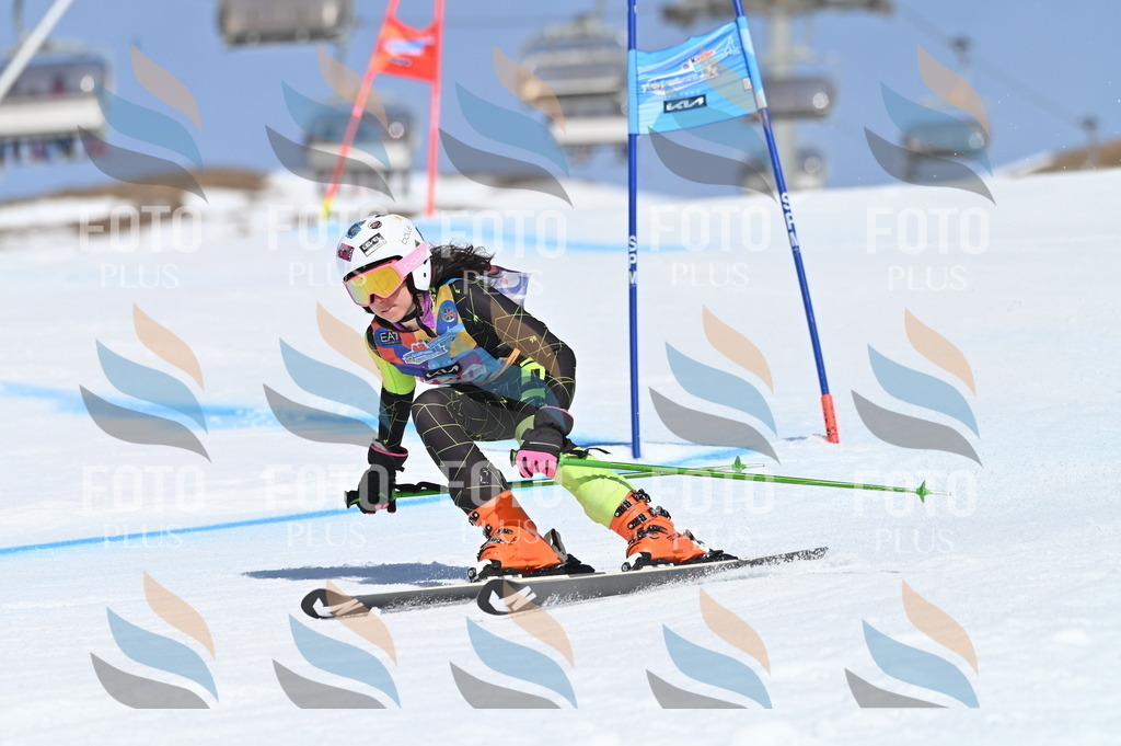 BGV_9763 | holidayphoto