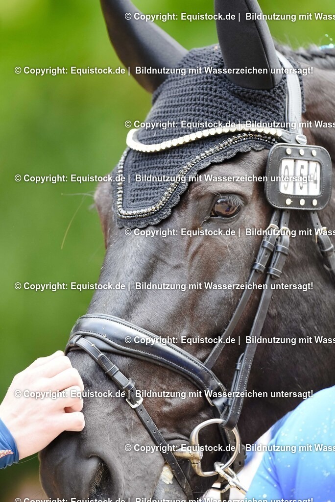 20250608_CVI-Masterclass_1035 | Foto: Thomas Hartig