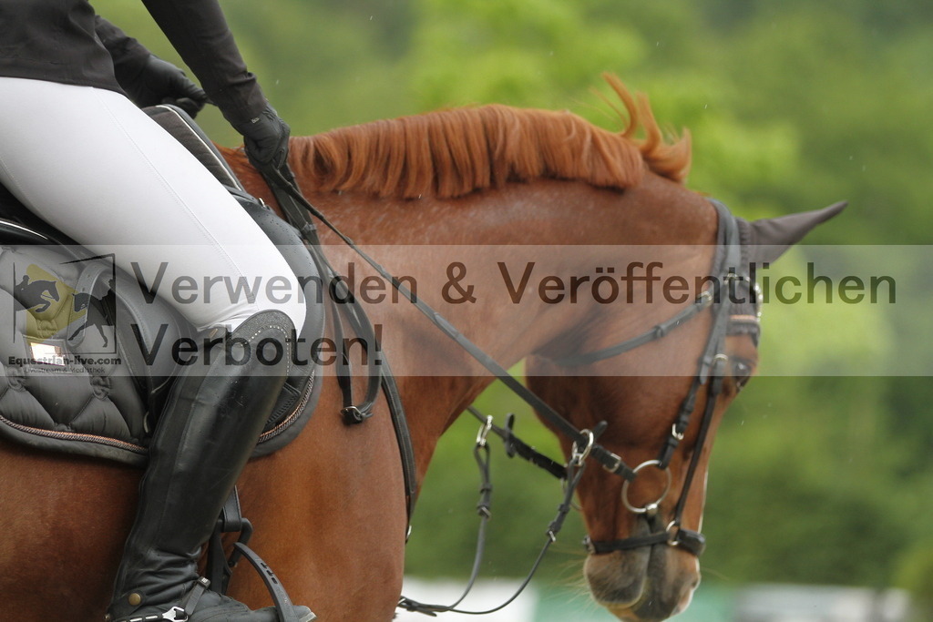 _MG_6595 | equestrian-live-com