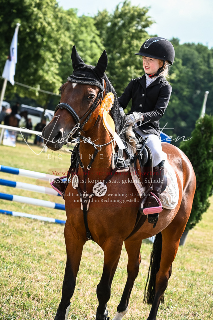 DSC_8599 | Pferde- und Turnierfotografie in Westsachsen. Pferdeportraits, Auftragszeichnungen und intuitive Kunst.