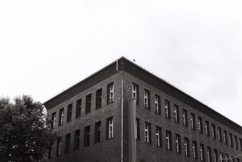 R1-08481-0021 | In meinem Onlineshop biete ich nur sehr kritisch ausgewählte Fotografien an. Diese sind von meinen Reisen oder Kurztrips. Ich habe sie ausgewählt, da diese meiner Meinung Nach wunderbare Wandbilder darstellen.  - Realisiert mit Pictrs.com