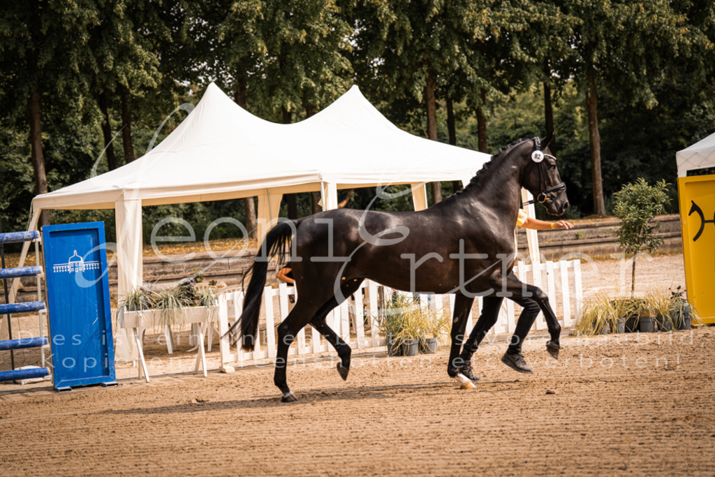 FrER00013 | Leoni Ertmer Photography - Realisiert mit Pictrs.com