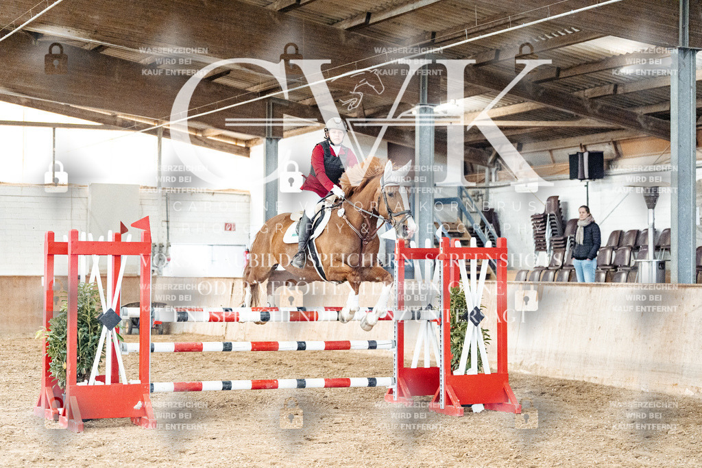 CK906306 | Turnierfotografie Pferdefotografie Trier Rheinland-Pfalz Pferdesport Reitsport Tierfotografie Sportfotografie Pferdevideo Pferdevideografie Equestrianvideography equestrianphotography  - Realisiert mit Pictrs.com