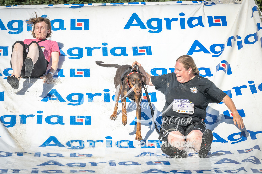 1629_ZZ90537 | kk-dogfotos