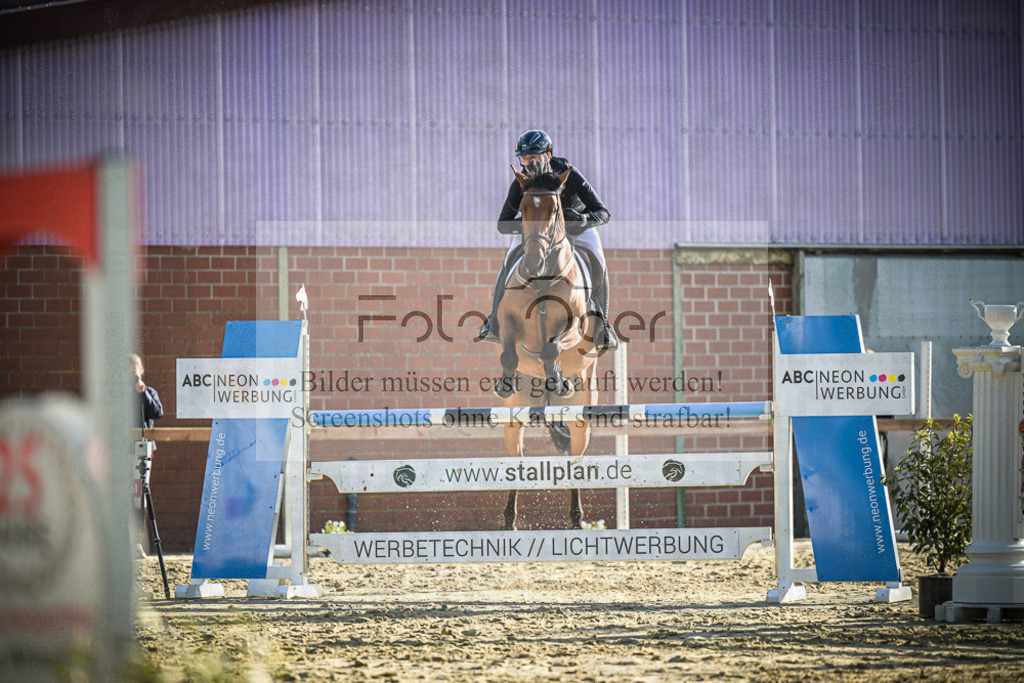 DOS_4310 | Entdecke hochwertige Reitturnierfotos von Foto Oger. Professionell, emotional und authentisch – jetzt Lieblingsmomente im Shop bestellen.Deutschlandweite Turnierfotografie. - Realisiert mit Pictrs.com