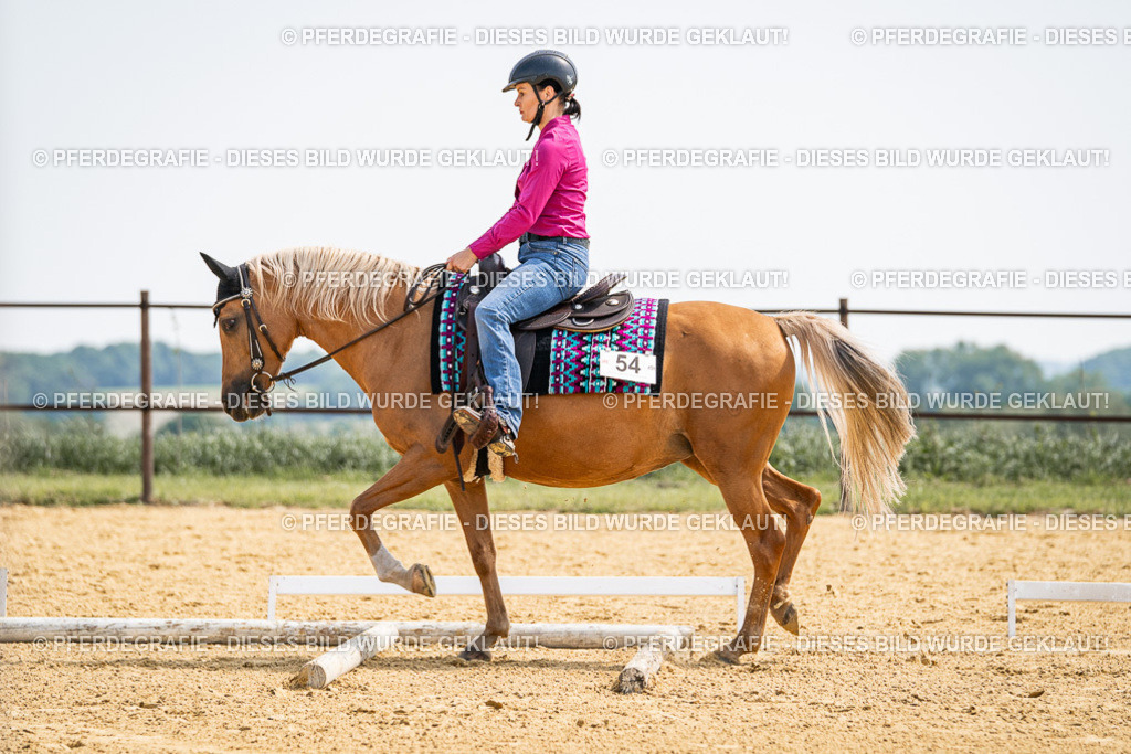 DSC00296 | Pferdegrafie