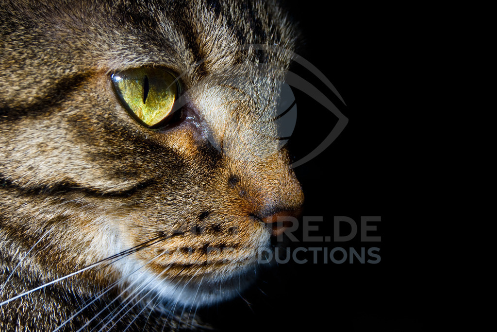 DSC02664-Bearbeitet | SONY DSC - Realisiert mit Pictrs.com