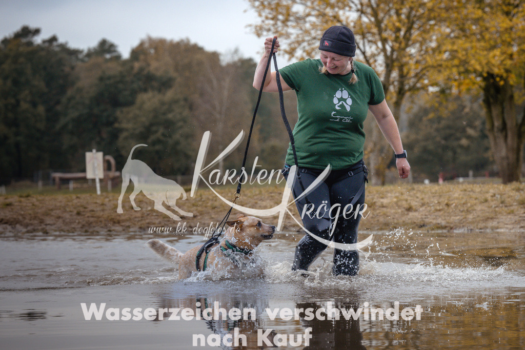 1331_ZZ94178 | kk-dogfotos