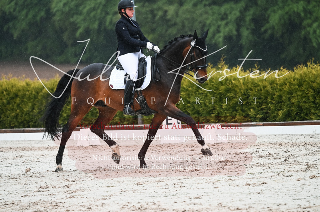 DSC_4534 | Pferde- und Turnierfotografie in Westsachsen. Pferdeportraits, Auftragszeichnungen und intuitive Kunst.