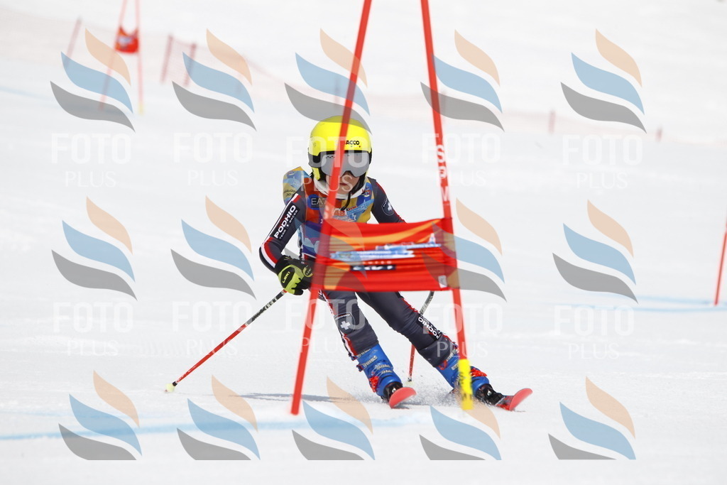 _U3G6296 | holidayphoto