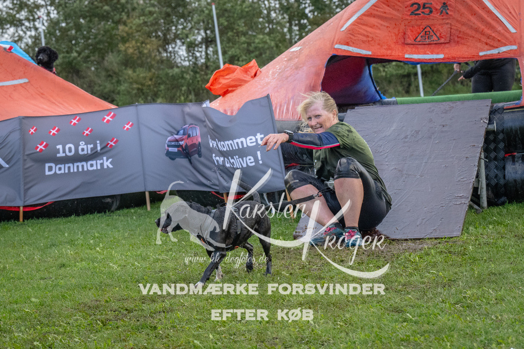 1227-93742 | kk-dogfotos