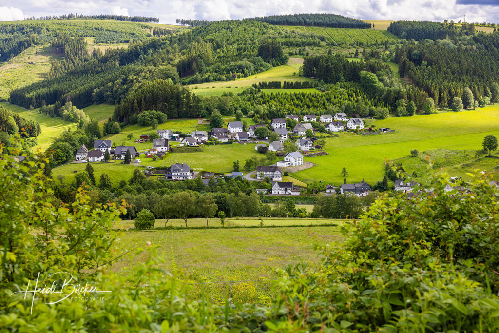Westfeld und Umgebung 080 | Bilder und Impressionen zu jeder Jahreszeit aus dem Sauerland im Naturpark Sauerland-Rothaargebirge - Realisiert mit Pictrs.com
