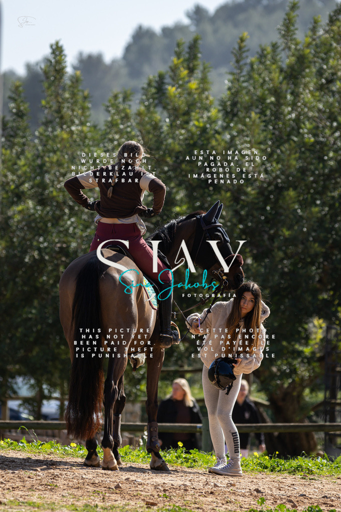 IMG_6218 | s-jay-photography - Realisiert mit Pictrs.com