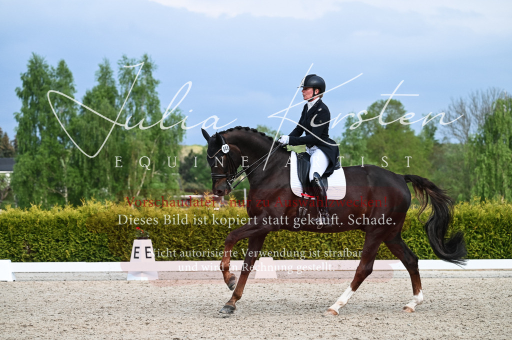 20230513_JK-Röhrsdorf-13-272 | Pferde- und Turnierfotografie in Westsachsen. Pferdeportraits, Auftragszeichnungen und intuitive Kunst.