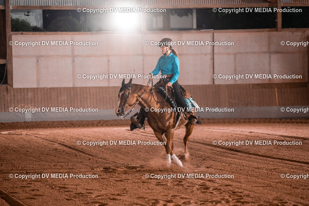 NE201520 | dv-media-shop - Realisiert mit Pictrs.com