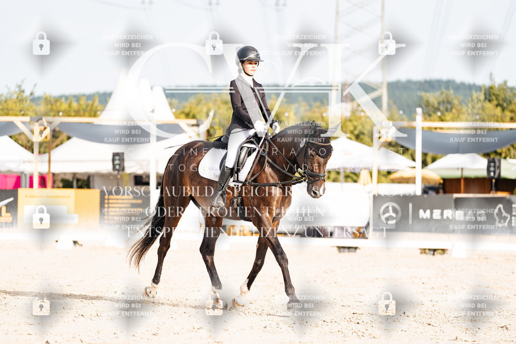 CK903894 | Turnierfotografie Pferdefotografie Trier Rheinland-Pfalz Pferdesport Reitsport Tierfotografie Sportfotografie Pferdevideo Pferdevideografie Equestrianvideography equestrianphotography  - Realisiert mit Pictrs.com