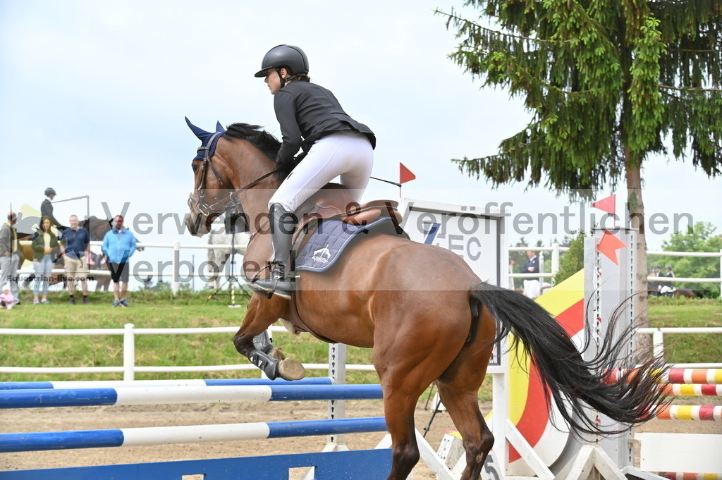 DSC_9167 | equestrian-live-com