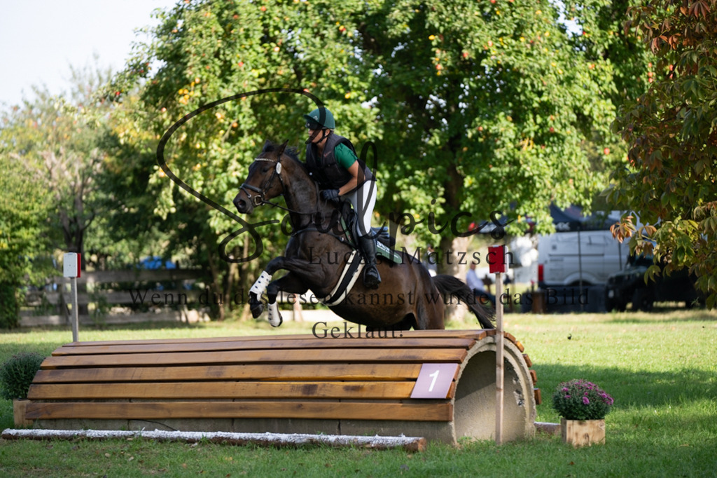 A7V03207 | Pferdefotograf