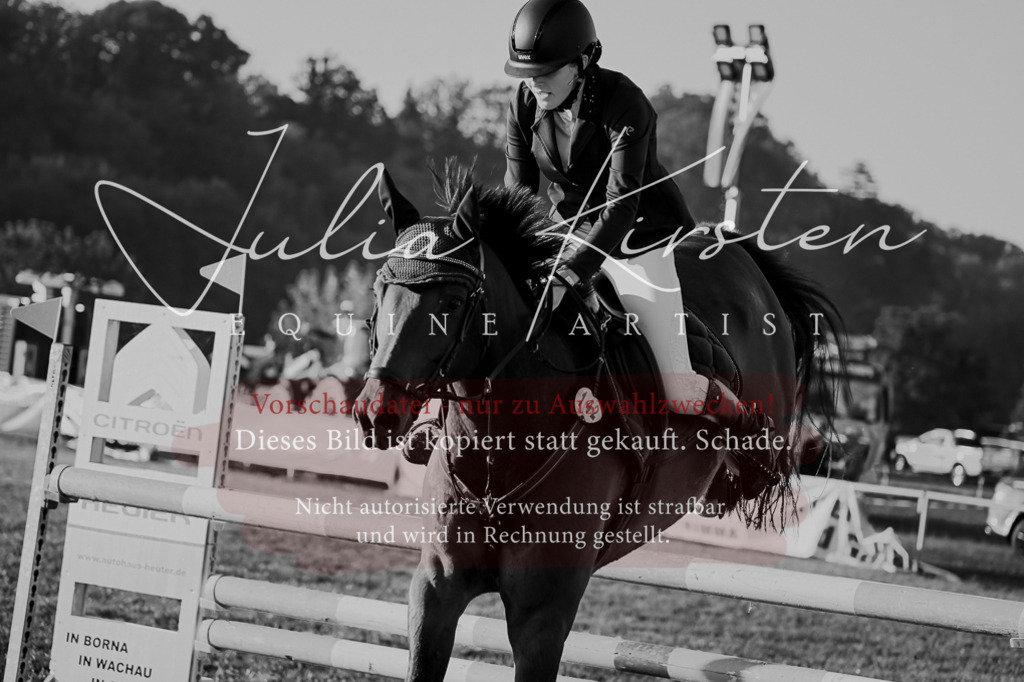 DSC_3988 | Pferde- und Turnierfotografie in Westsachsen. Pferdeportraits, Auftragszeichnungen und intuitive Kunst.