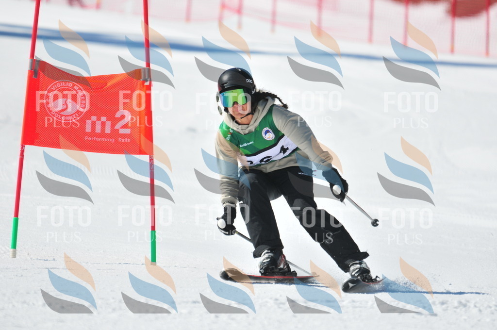 C4160 | holidayphoto