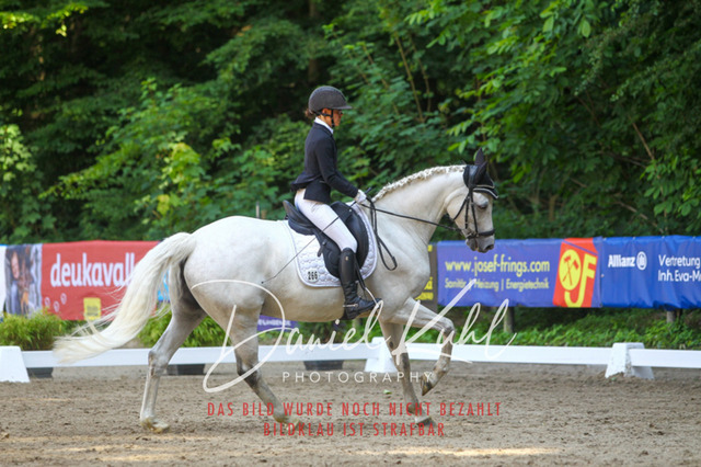 DKP42629 | Turniersportfotografie; Pferdefotografie; Dressurfotografie