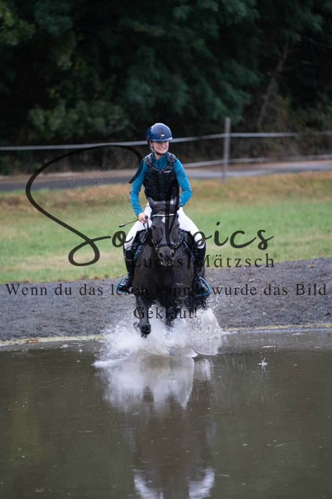 A7V09990 | Pferdefotograf